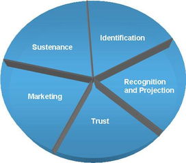 数字化浪潮下的网络品牌营销与销售融合之道